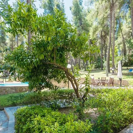 Sani Cape Shared Pool Villa