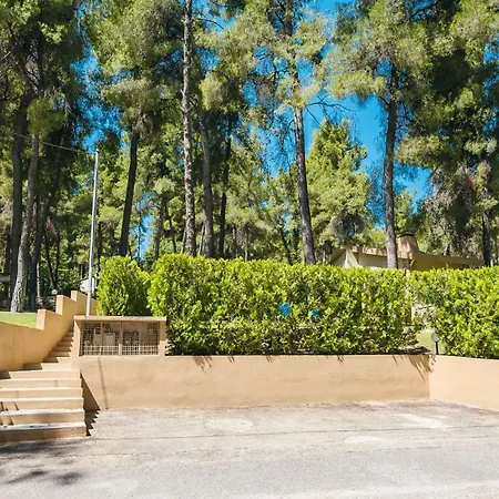 Sani Cape Shared Pool *