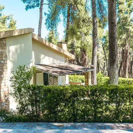 Sani Cape Shared Pool Sani (Chalkidiki)