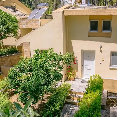 Sani Cape Shared Pool 别墅 *